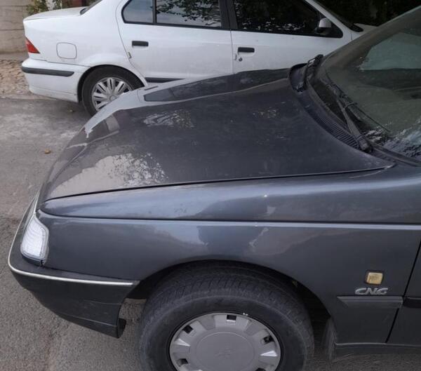 عکس پژو ۴۰۵ دلفینی