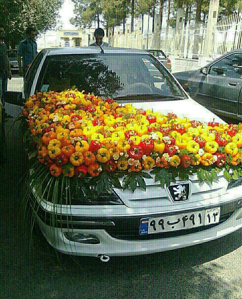 عکس زیبای پژو