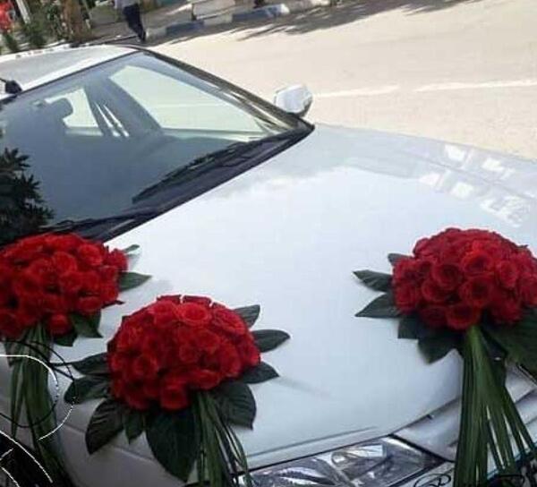عکس زیر ماشین پژو پارس