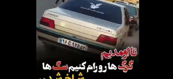 عکس نوشته پژو 405