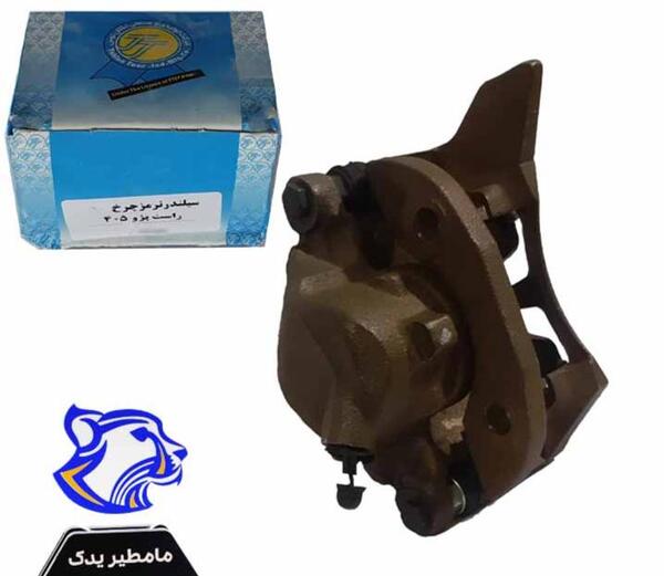 عکس لنت ترمز پژو