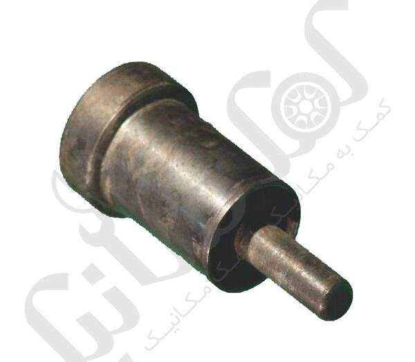 عکس بوش طبق پژو
