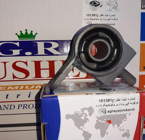 عکس بوش طبق پژو 405