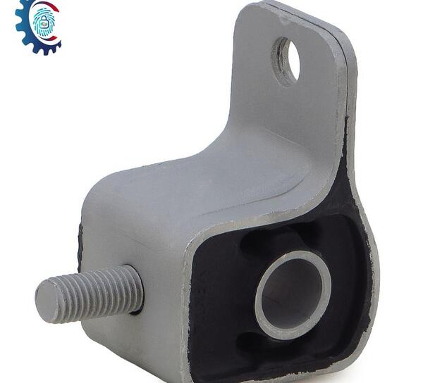 عکس بوش طبق پژو 405