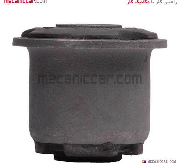 عکس بوش طبق پژو 405