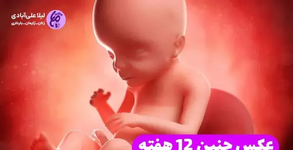 عکس جنین بیست و دو هفته
