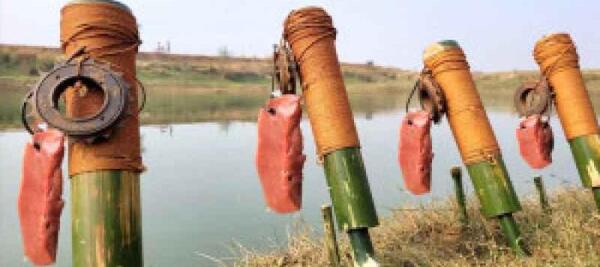 عکس ممد قلی غول پیکر