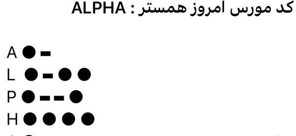 عکس کد همستر بیست و نهم