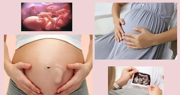 عکس جنین در هفته بیست و نهم