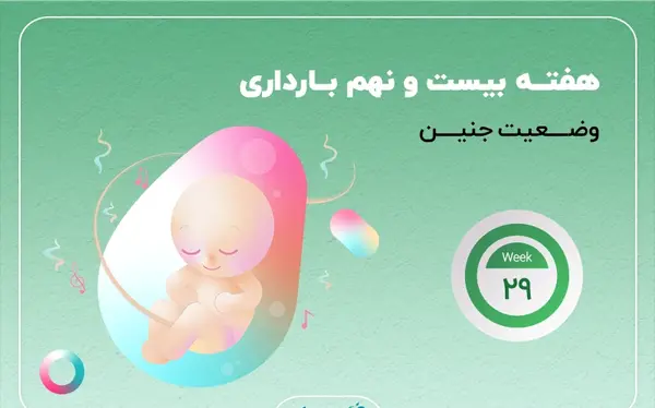 عکس جنین در هفته بیست و نهم