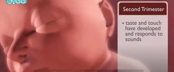 عکس جنین بیست و سه هفته دختر