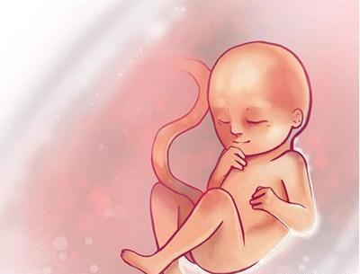 عکس جنین بیست و سه هفته دختر