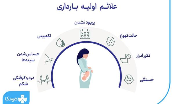 عکس جنین در هفته بیست و سوم بارداری