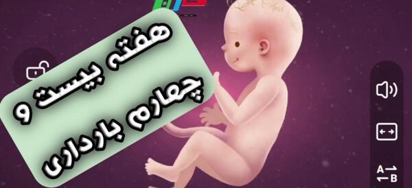 عکس جنین بیست چهار هفته