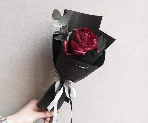 ایده عکس با یک شاخه گل