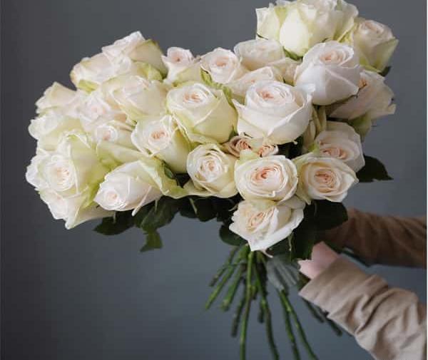 ایده عکس با یک شاخه گل