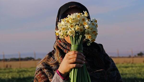 ژست عکس با یک شاخه گل رز