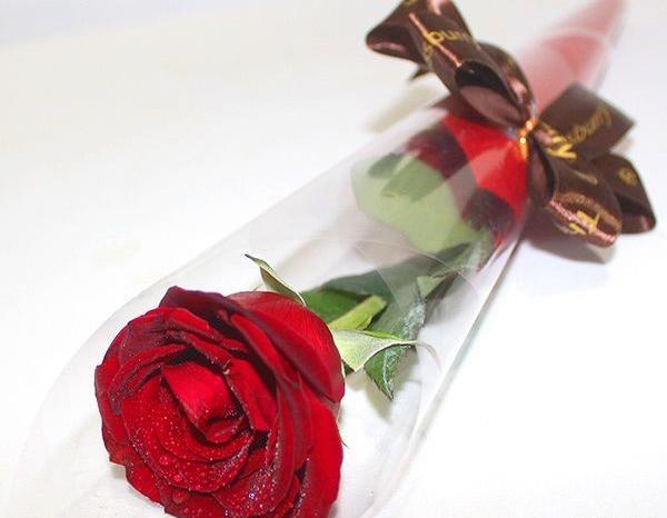 عکس گرفتن با یک شاخه گل