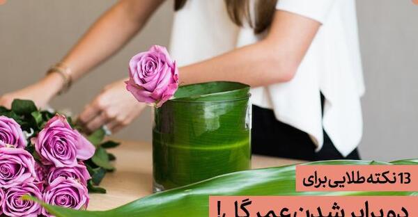 عکس گرفتن با یک شاخه گل