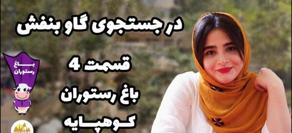 عکس ممد قلی گاوی
