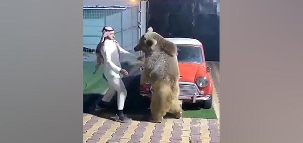 عکس لولو خورخوره ممد قلی