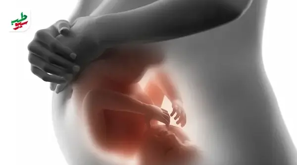 عکس ماه اول حاملگی
