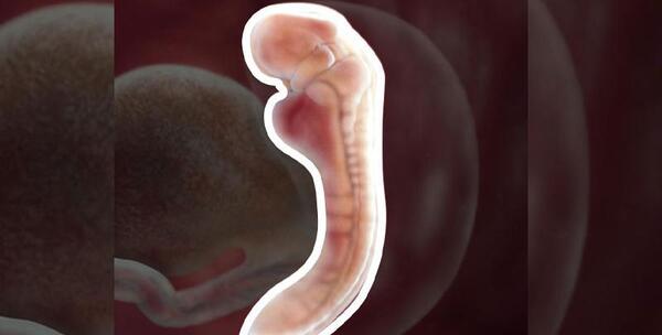 عکس ماه اول حاملگی