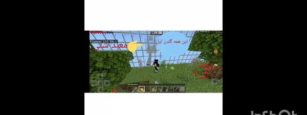 عکس گلدن اپل ماینکرافت