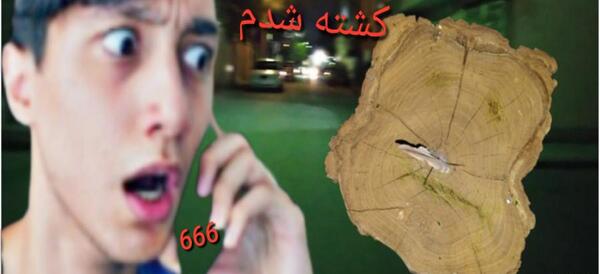 عکس سعید والکور ممد قلی نماشا