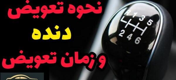 عکس سر دنده امیکو