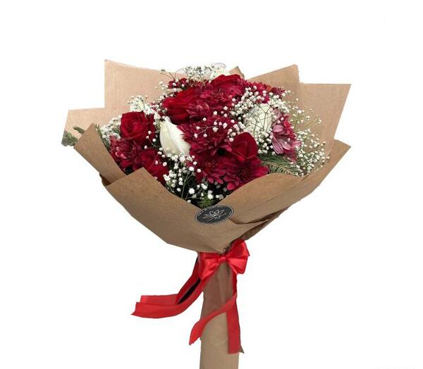 عکس گل دالیای سرخ