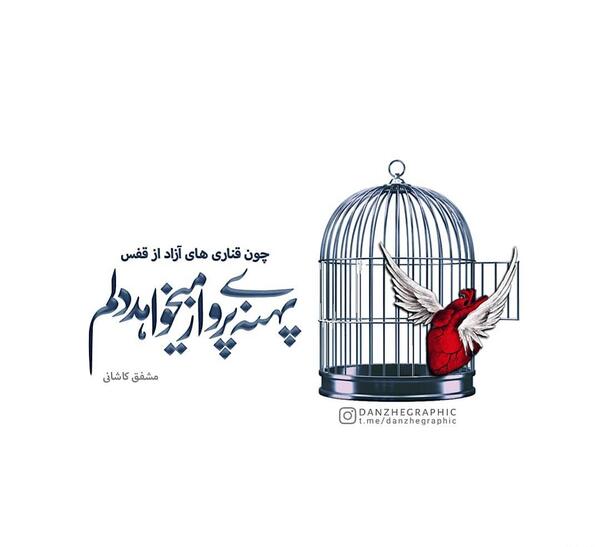 عکس رهایی از قفس