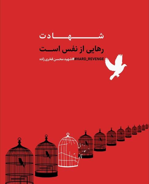 عکس رهایی از قفس