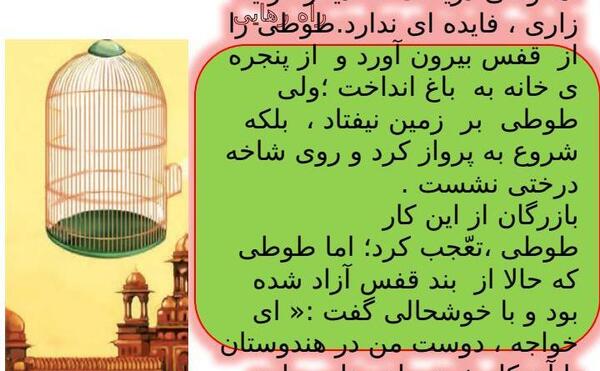 عکس رهایی از قفس