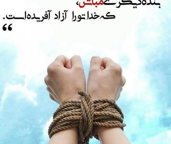 عکس رهایی از قفس