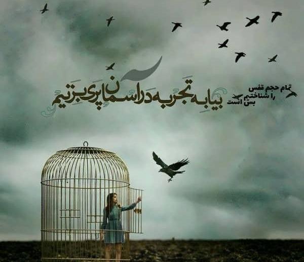 عکس رهایی از قفس