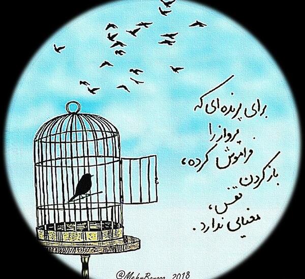عکس رهایی از قفس