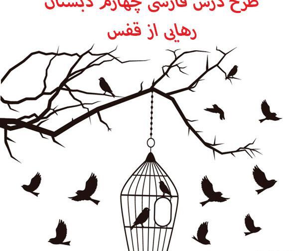 عکس رهایی پرنده از قفس