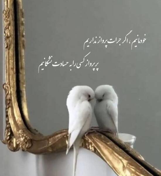 عکس رهایی دختر