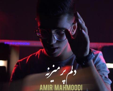 عکس امیر مهدی محمودی