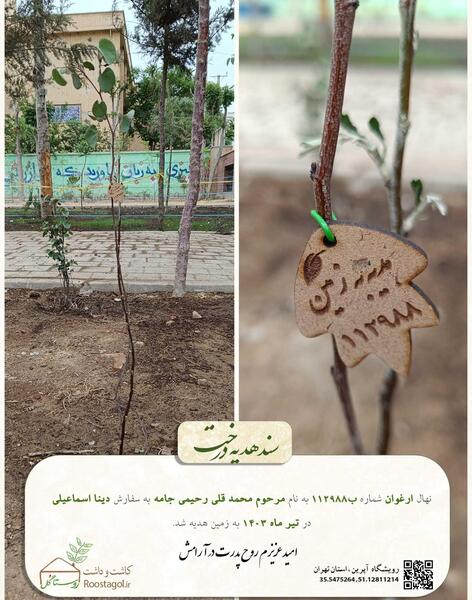 عکس شماره تلفنی ممد قلی