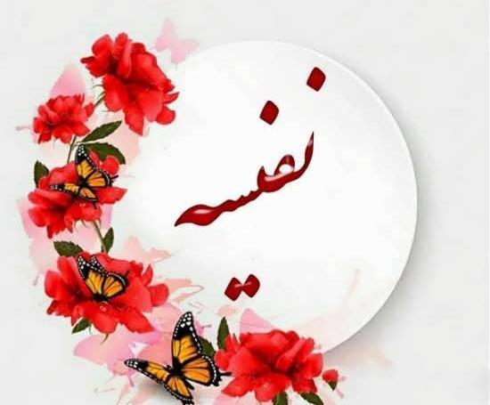عکس لوگوی اسم نفیسه