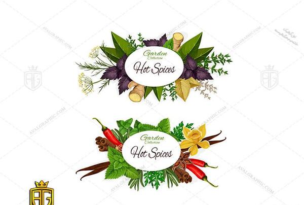 عکس طراحی لوگوی عطاری