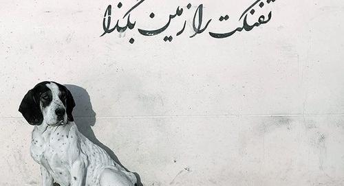 عکس لوگوی حامی حیوانات