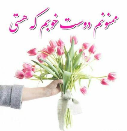 عکس نوشته برای تشکر از مدیر مدرسه