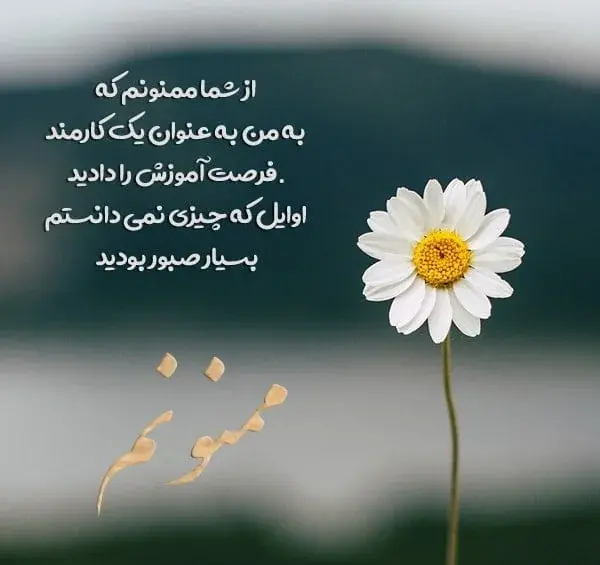 عکس نوشته تشکر از مدیر گروه
