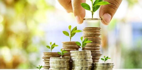 عکس پروفایل مدیر مالی