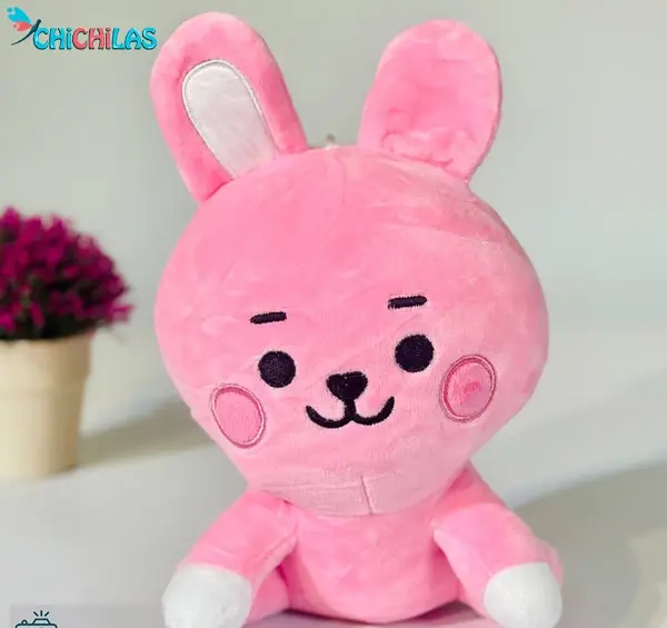 عکس بی تی اس کیوت صورتی