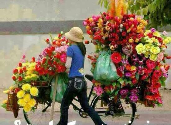 عکس نوشته مدیر گروه تولدت مبارک