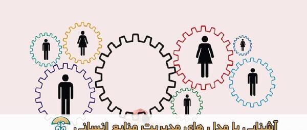 عکس مدیریت منابع انسانی